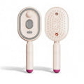 ✨ Handheld Steam Hair Brush Comb